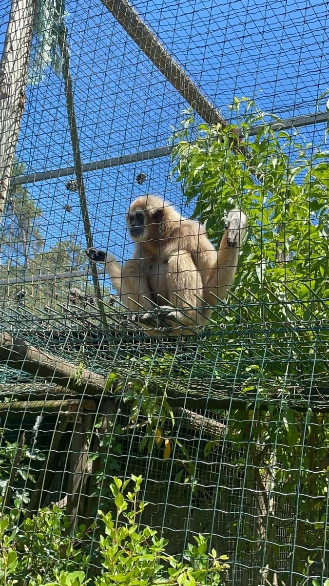 Visite du Mini Zoo